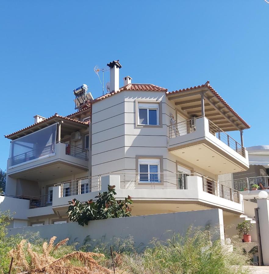 הוילה ארטמידה Liza House מראה חיצוני תמונה